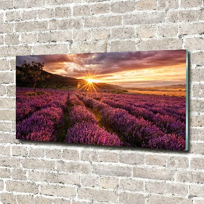 Quadro su vetro acrilico Campo di lavanda