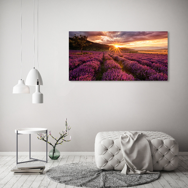 Quadro su vetro acrilico Campo di lavanda