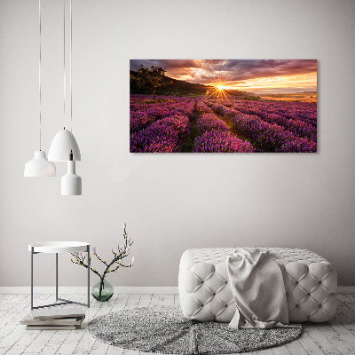 Quadro su vetro acrilico Campo di lavanda