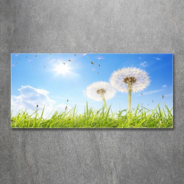 Quadro vetro acrilico Denti di leone