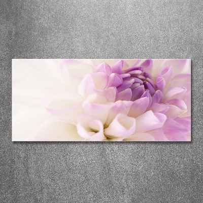 Quadro su vetro acrilico Dalia bianca