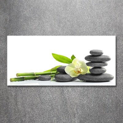 Quadro in vetro acrilico Orchidea