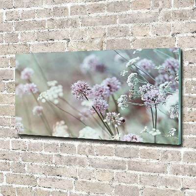 Quadro vetro acrilico Fiori selvatici