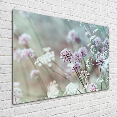 Quadro vetro acrilico Fiori selvatici