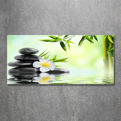 Quadro su vetro acrilico Plumeria e bambù