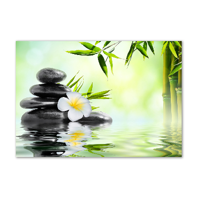 Quadro su vetro acrilico Plumeria e bambù