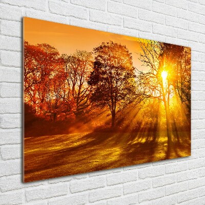 Quadro vetro acrilico Tramonto