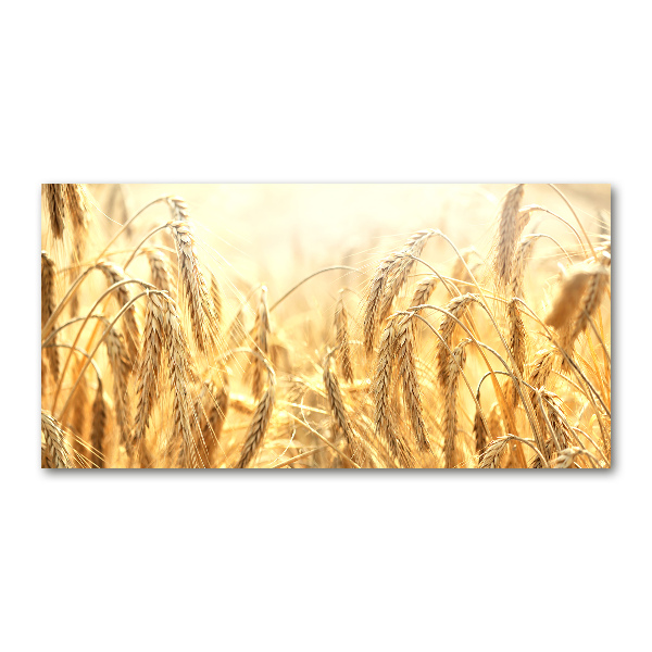 Quadro vetro acrilico Caffè