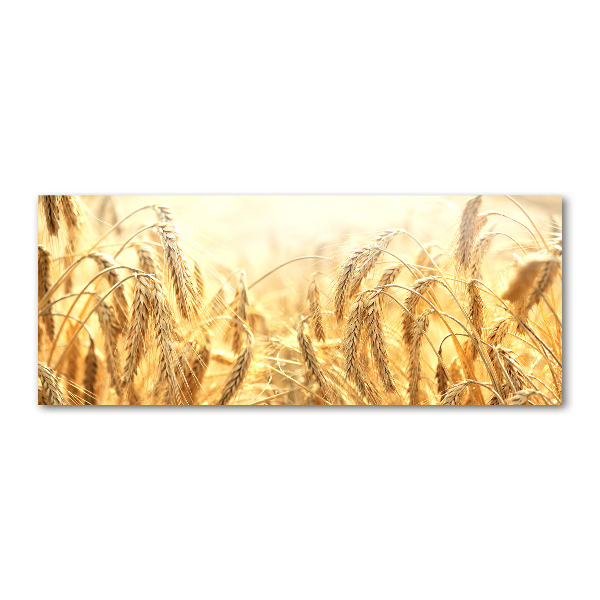 Quadro vetro acrilico Caffè