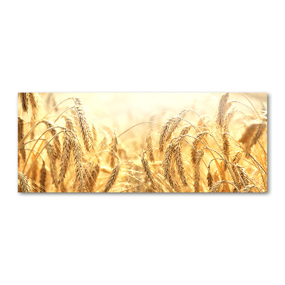 Quadro vetro acrilico Caffè