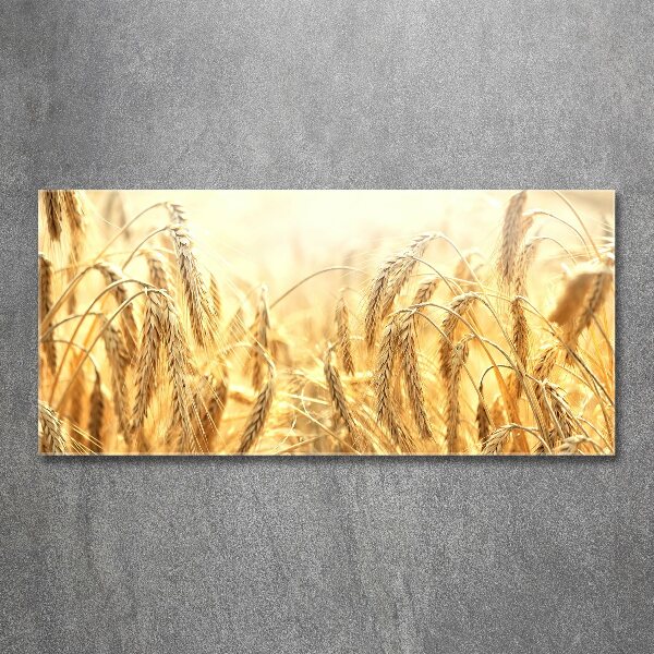 Quadro vetro acrilico Caffè