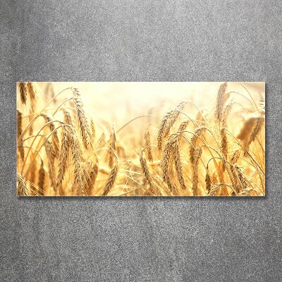 Quadro vetro acrilico Caffè