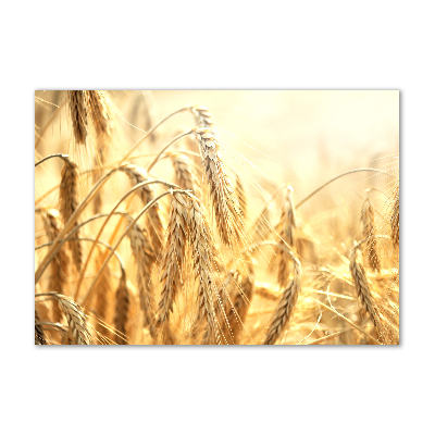 Quadro vetro acrilico Caffè