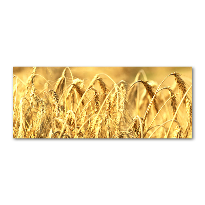 Quadro su vetro acrilico Caffè