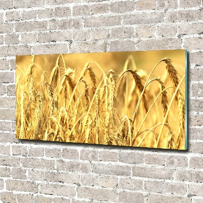 Quadro su vetro acrilico Caffè