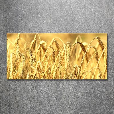 Quadro su vetro acrilico Caffè