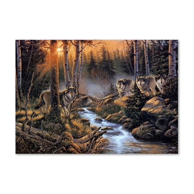 Quadro vetro acrilico Un branco di lupi