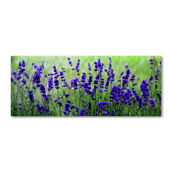 Quadro vetro acrilico Lavanda