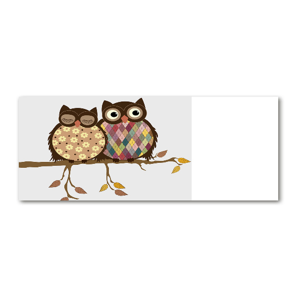 Quadro su vetro acrilico Due gufi su un ramo