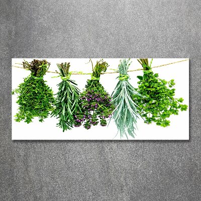 Quadro vetro acrilico Erbe aromatiche su un filo