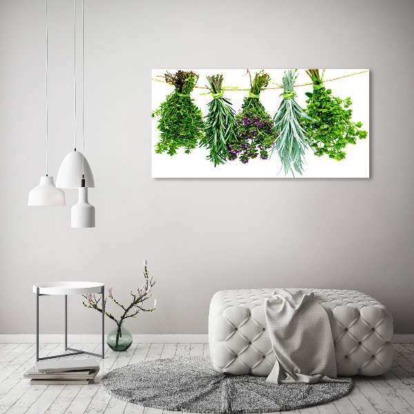 Quadro vetro acrilico Erbe aromatiche su un filo
