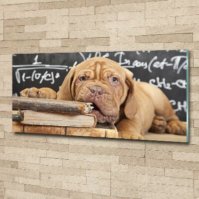 Quadro vetro acrilico Il cane sta mordendo il libro