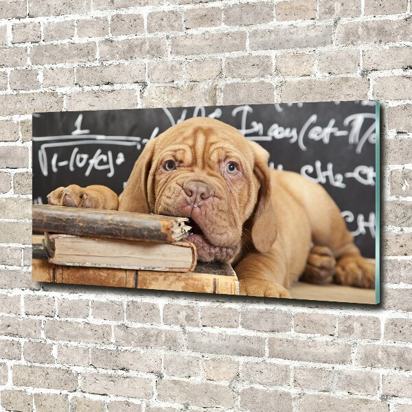 Quadro vetro acrilico Il cane sta mordendo il libro