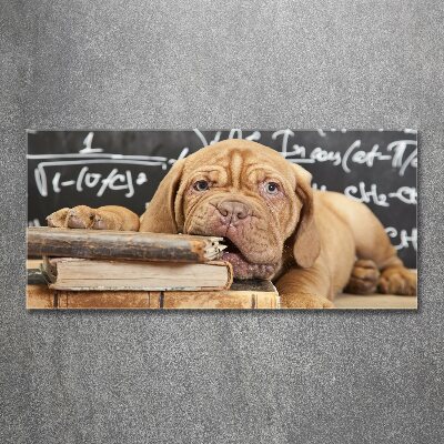 Quadro vetro acrilico Il cane sta mordendo il libro