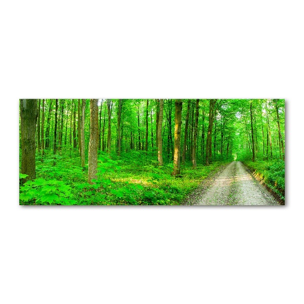 Quadro in vetro acrilico Alberi nella foresta