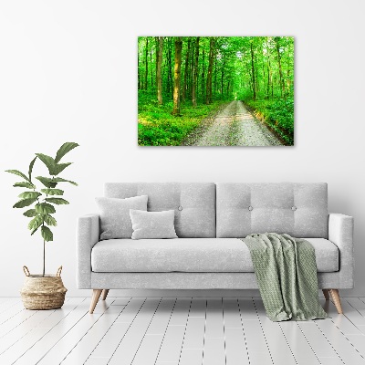 Quadro in vetro acrilico Alberi nella foresta