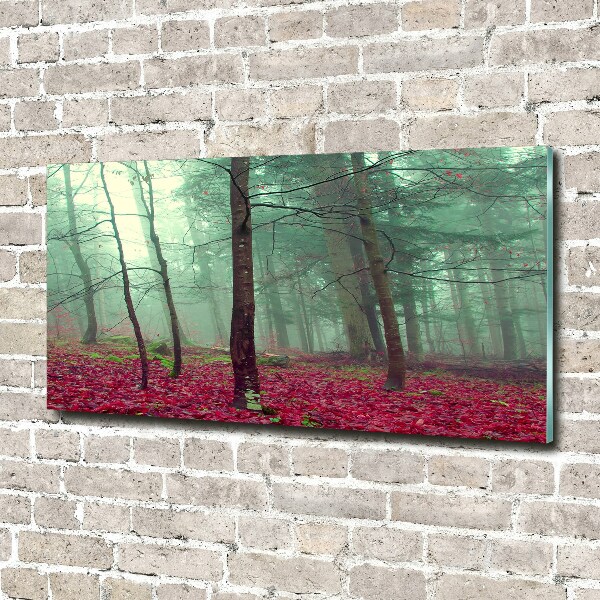 Quadro in vetro acrilico Foglie autunnali