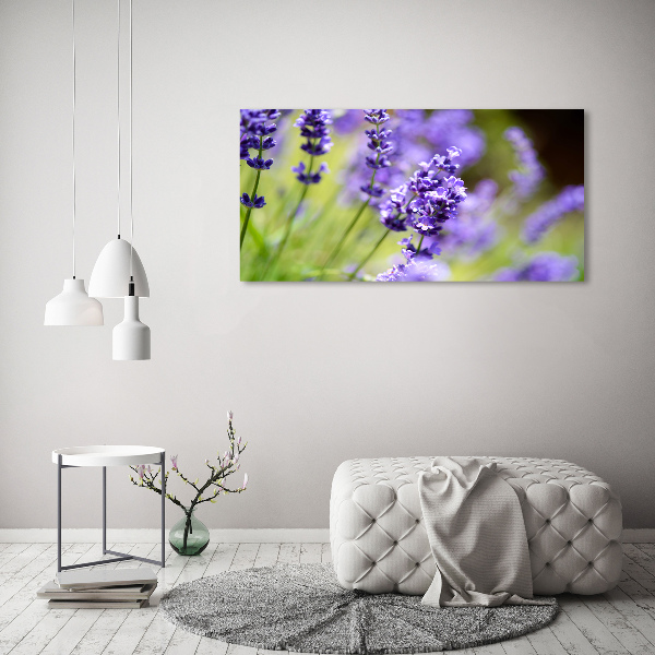 Quadro su vetro acrilico Lavanda