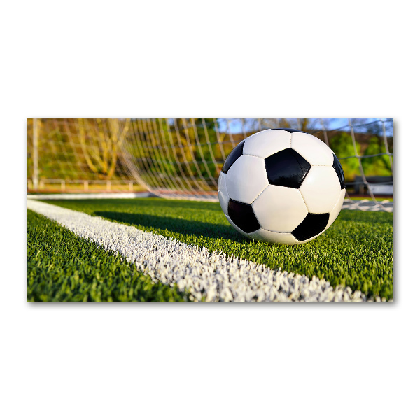 Quadro vetro acrilico La palla è in porta