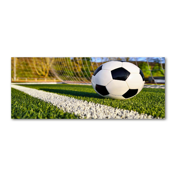 Quadro vetro acrilico La palla è in porta