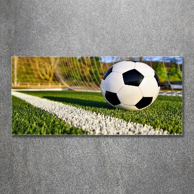 Quadro vetro acrilico La palla è in porta