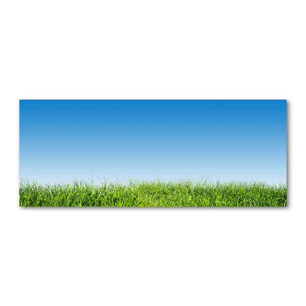 Quadro in vetro acrilico Erba