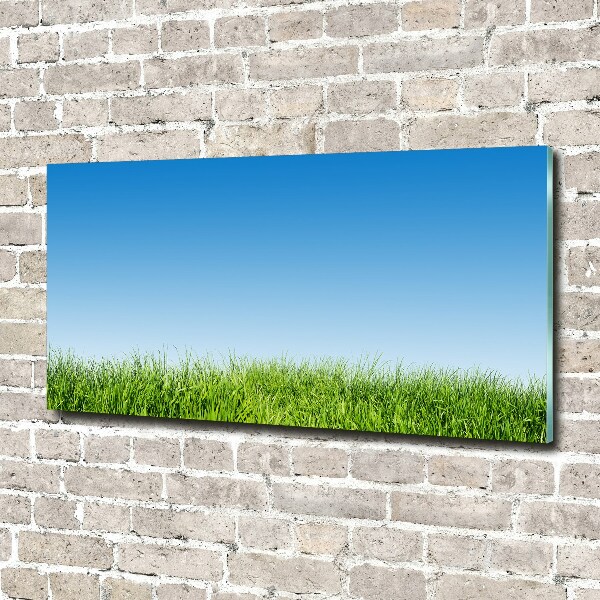 Quadro in vetro acrilico Erba