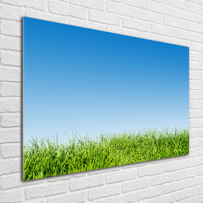 Quadro in vetro acrilico Erba