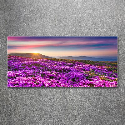 Quadro vetro acrilico Fiori in montagna
