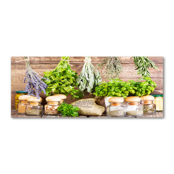 Quadro vetro acrilico Erbe aromatiche su un filo