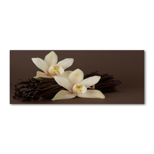 Quadro su vetro acrilico Baccelli di vaniglia