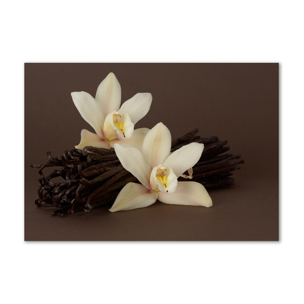 Quadro su vetro acrilico Baccelli di vaniglia