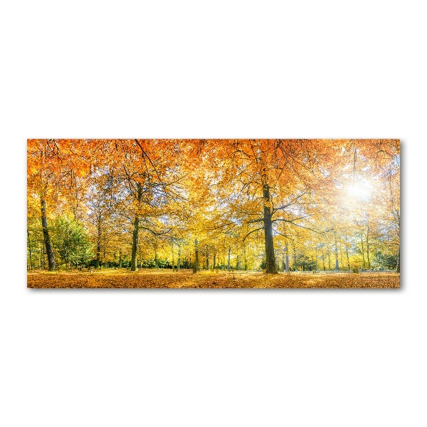 Quadro vetro acrilico Foresta in autunno