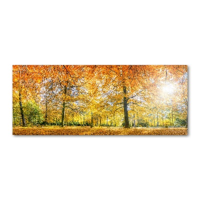 Quadro vetro acrilico Foresta in autunno
