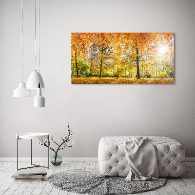 Quadro vetro acrilico Foresta in autunno