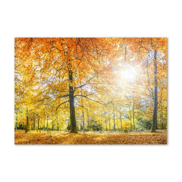 Quadro vetro acrilico Foresta in autunno