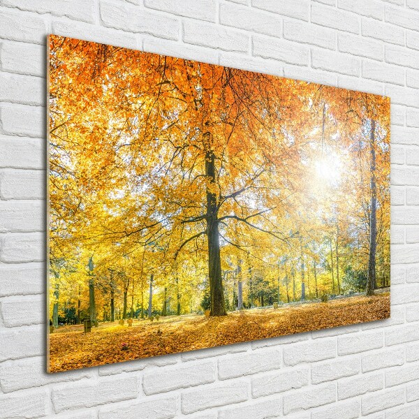 Quadro vetro acrilico Foresta in autunno