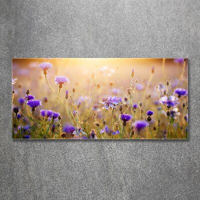 Quadro in vetro acrilico Fiori selvatici