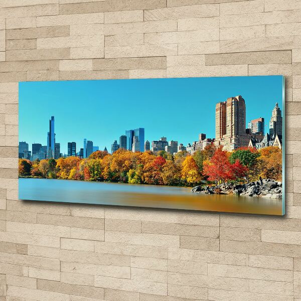 Quadro vetro acrilico New York in autunno