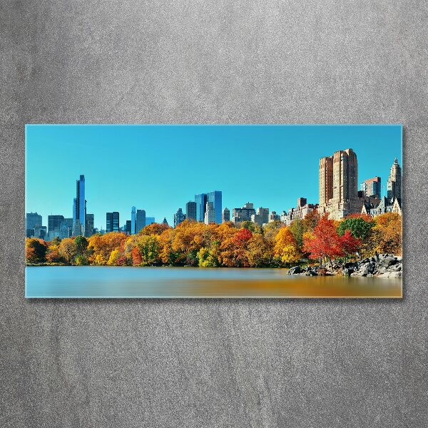 Quadro vetro acrilico New York in autunno